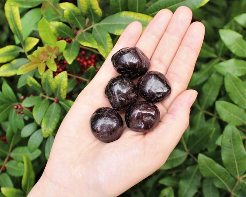 Garnet tumbled stones a - 5, stones: